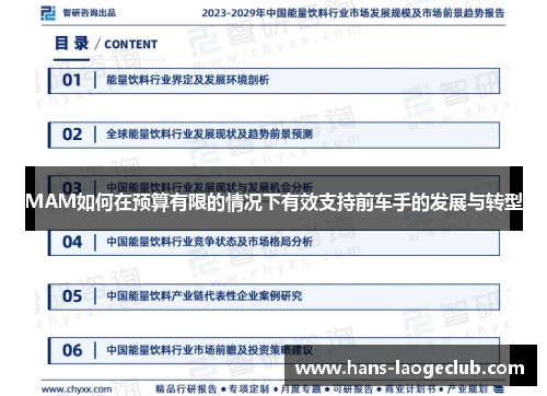MAM如何在预算有限的情况下有效支持前车手的发展与转型