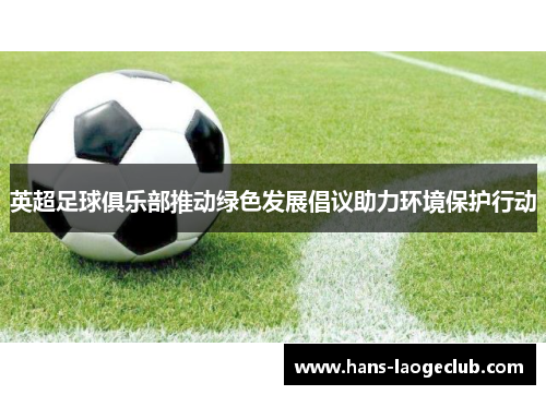 英超足球俱乐部推动绿色发展倡议助力环境保护行动